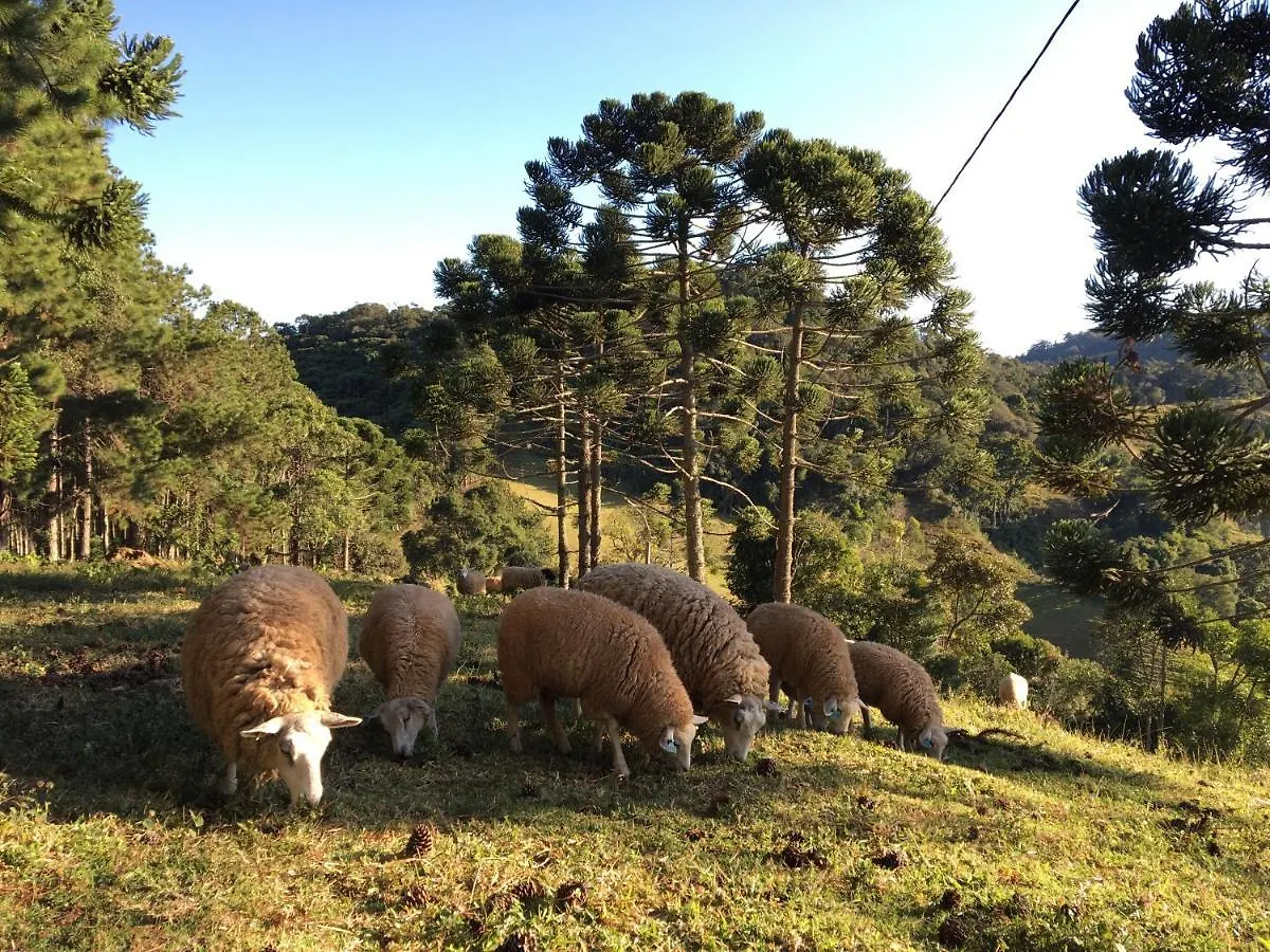 Casa de Férias Paraíso na Montanha Campos do Jordão